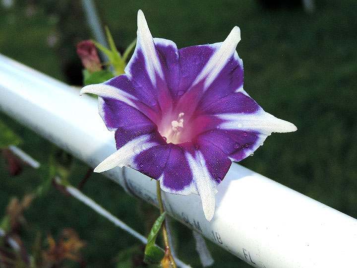 4DSCN6647