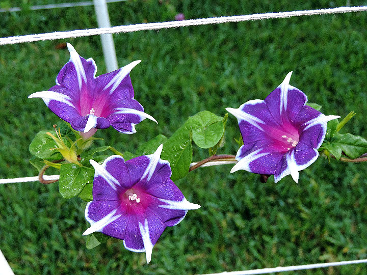 5DSCN4893