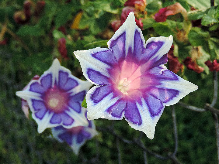 5DSCN6304