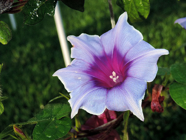 5DSCN9237