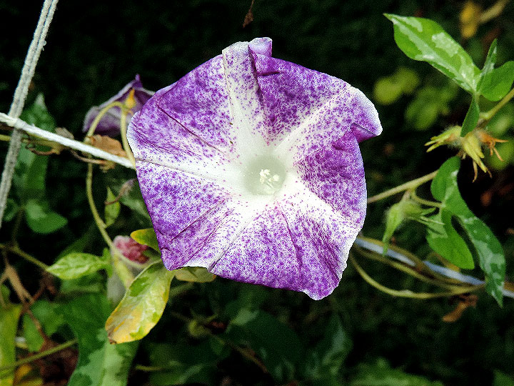 DSCN0127