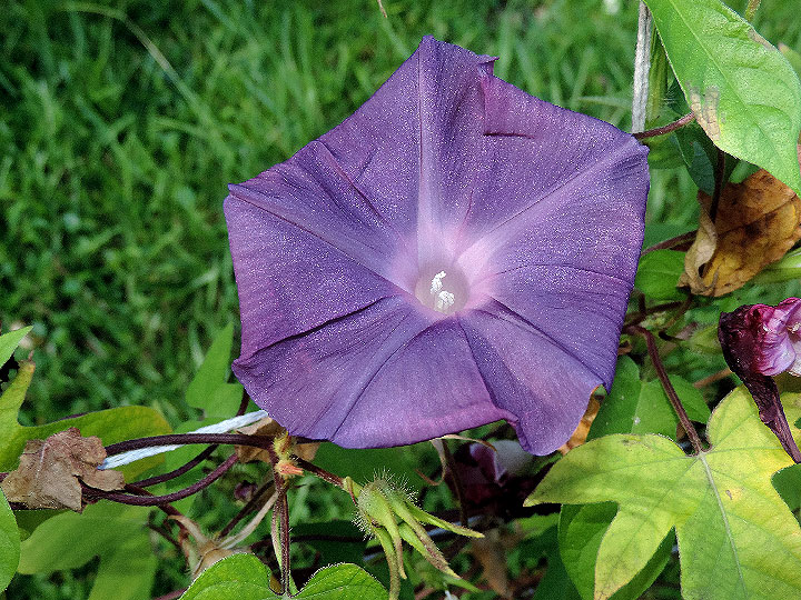 DSCN0131