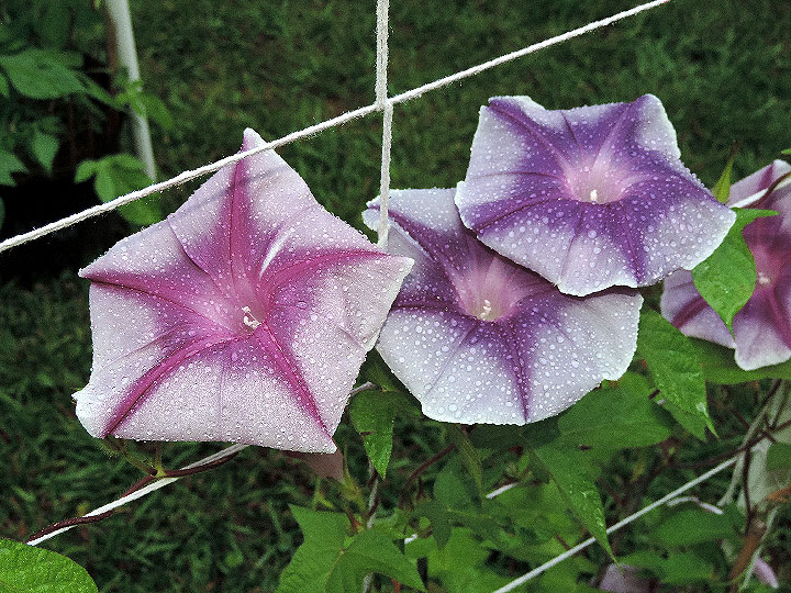 DSCN0144