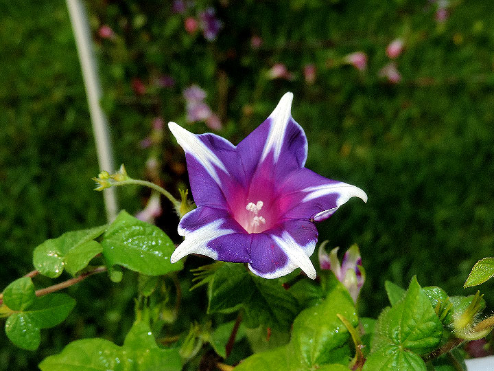 DSCN0184