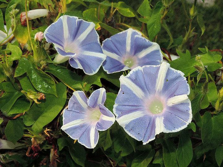 DSCN0203