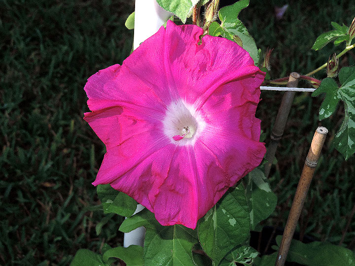 DSCN0277