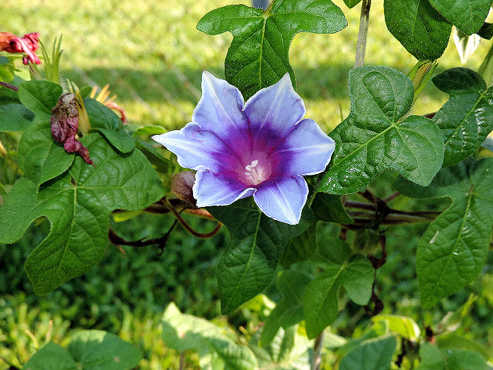 DSCN0388