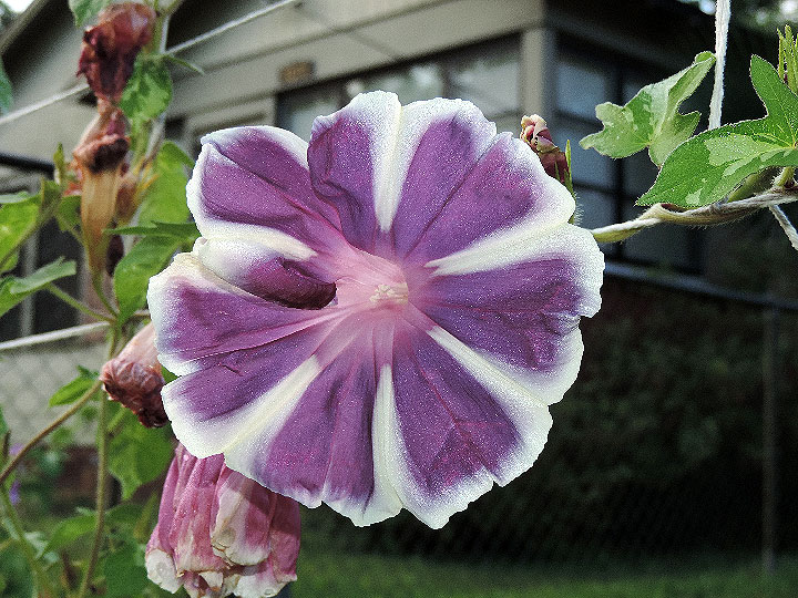 DSCN0399