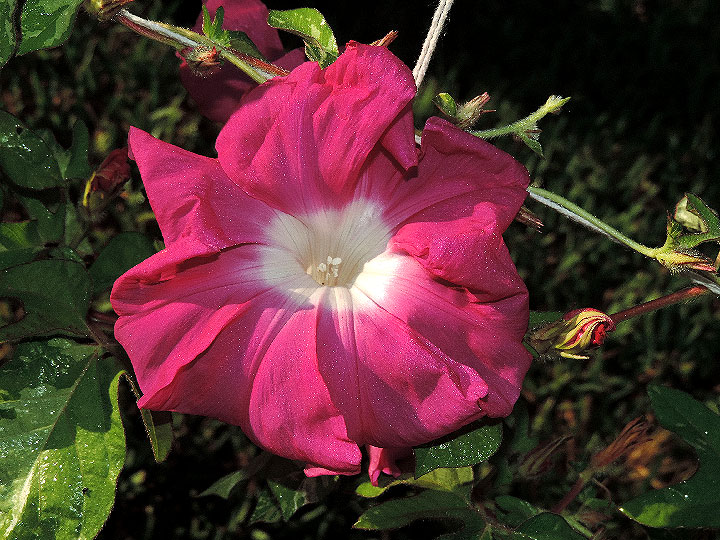 DSCN0507