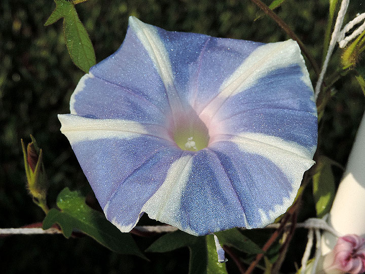 DSCN0557