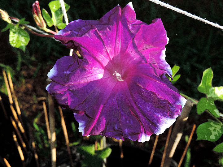DSCN0568