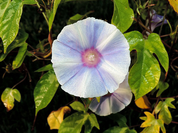 DSCN0628