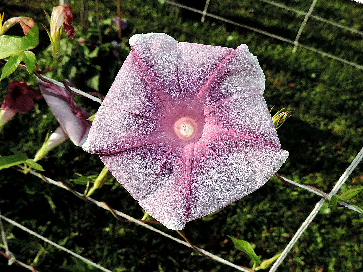 DSCN0659