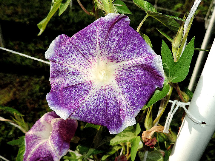 DSCN0670