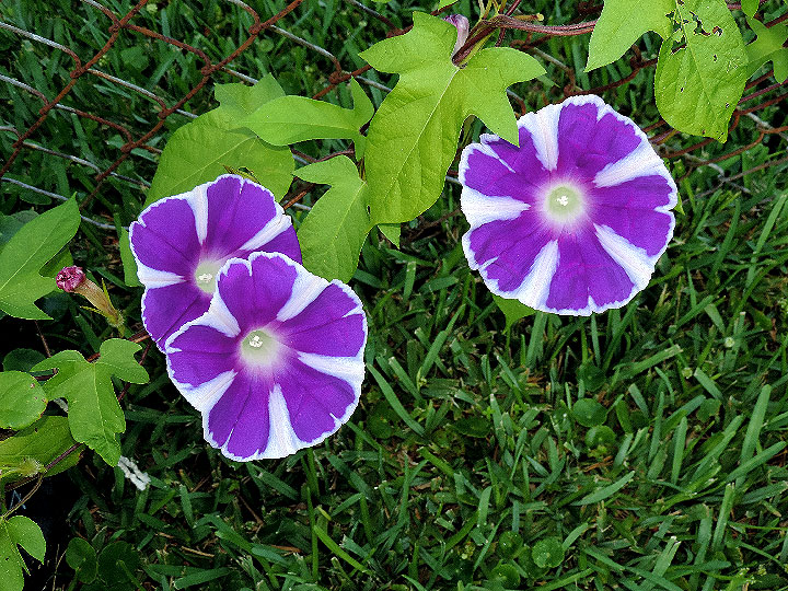 DSCN0703