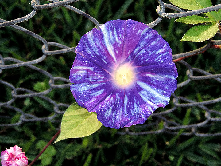DSCN0716