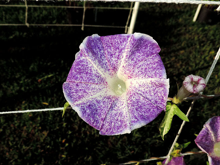 DSCN0805