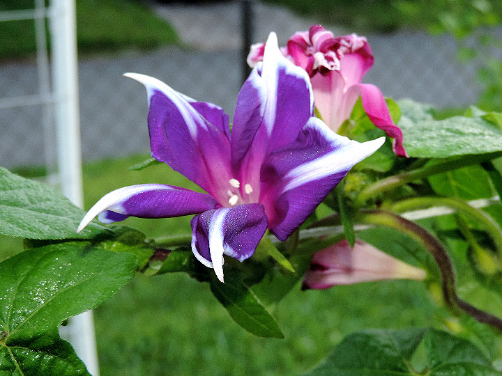 DSCN0879