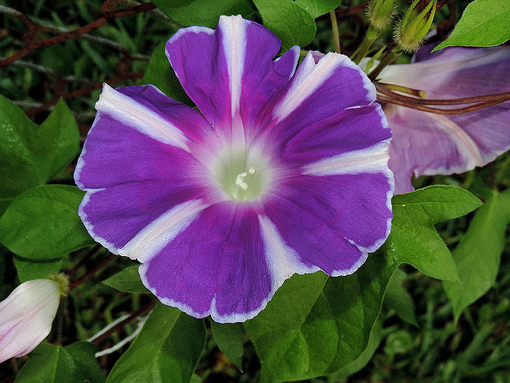 DSCN1039