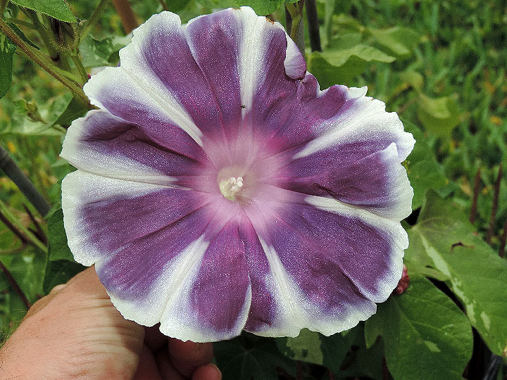 DSCN1107