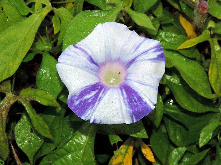 DSCN1143