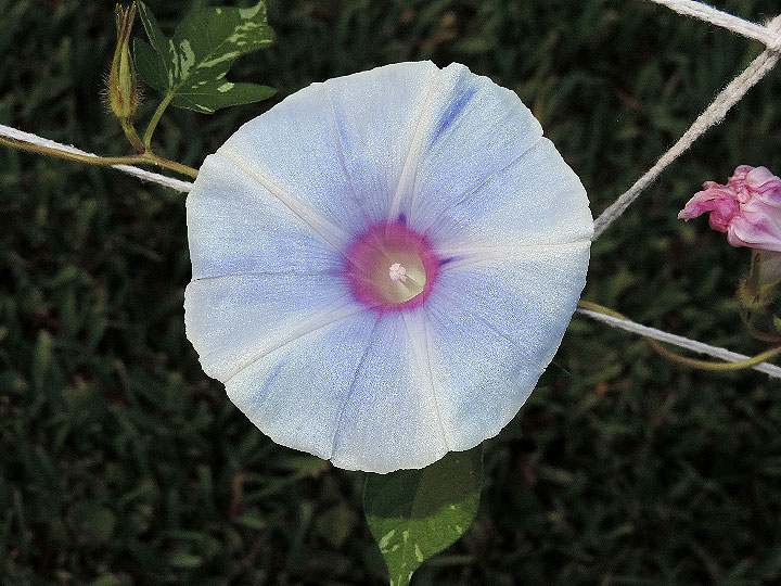 DSCN1242