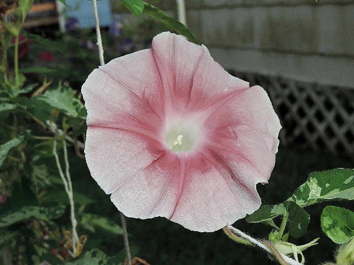 DSCN1257