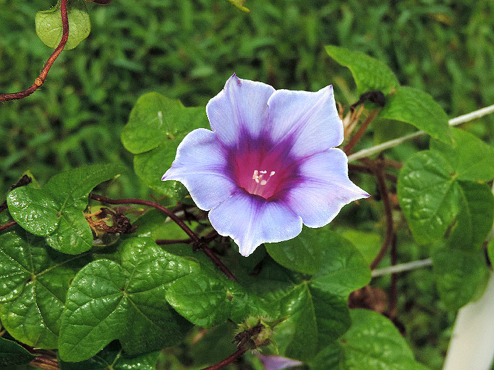 DSCN1269