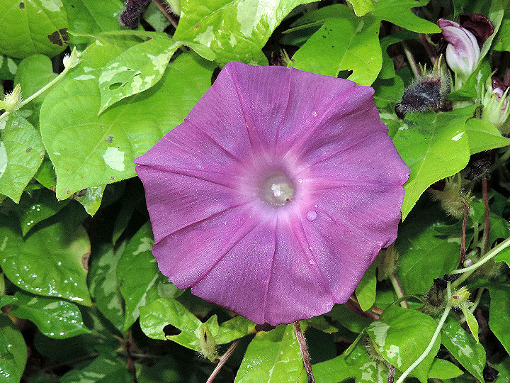 DSCN1309