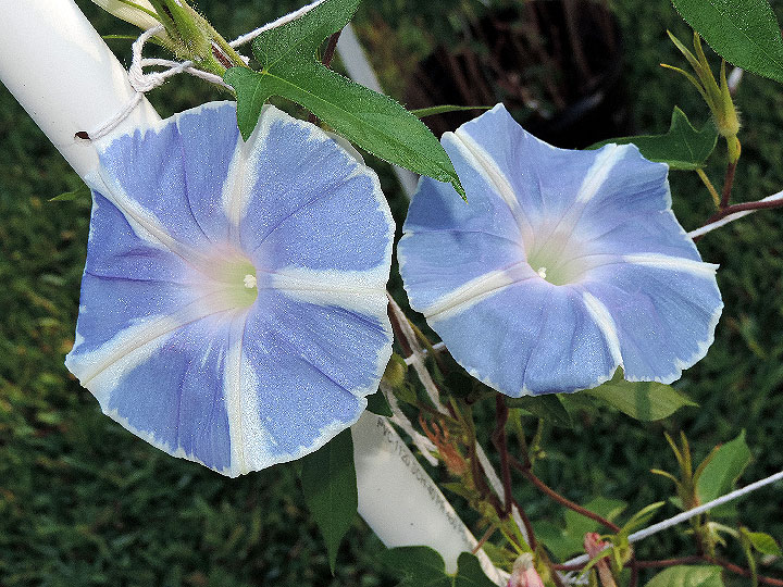 DSCN1355