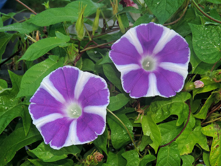 DSCN1568