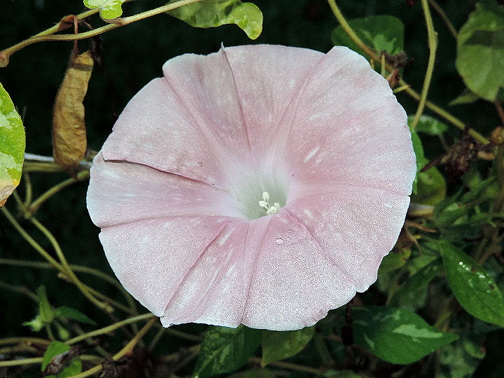 DSCN1635