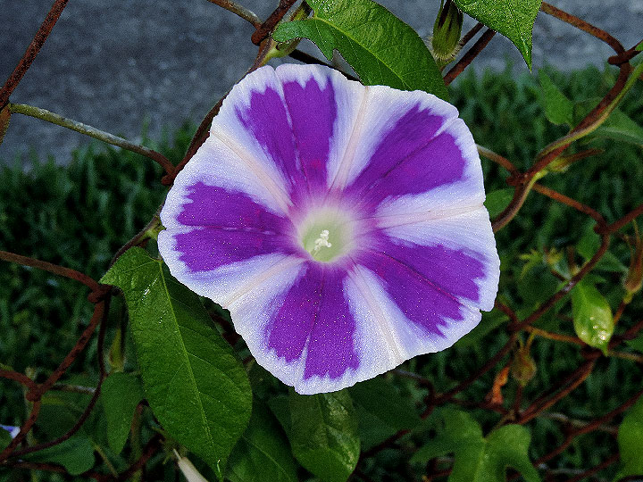 DSCN1653