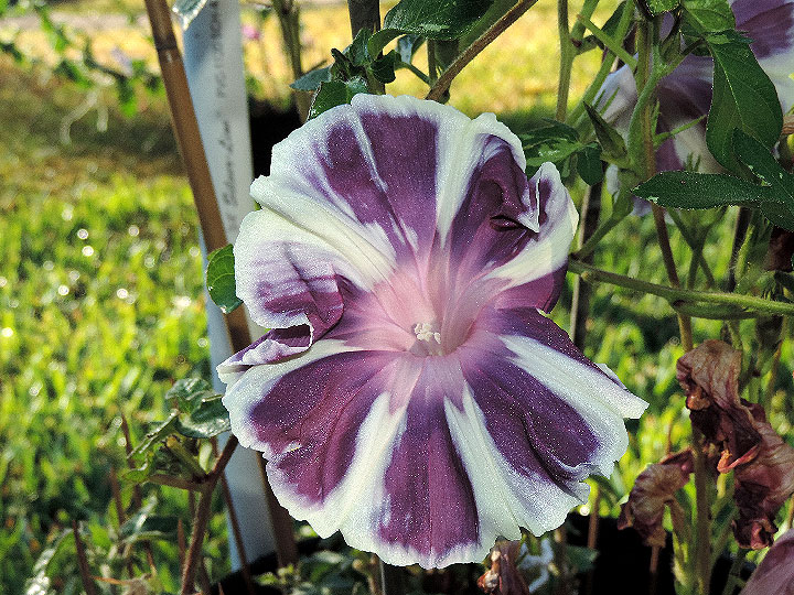 DSCN1692