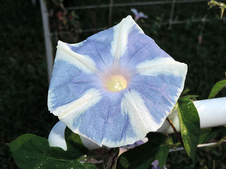DSCN1770