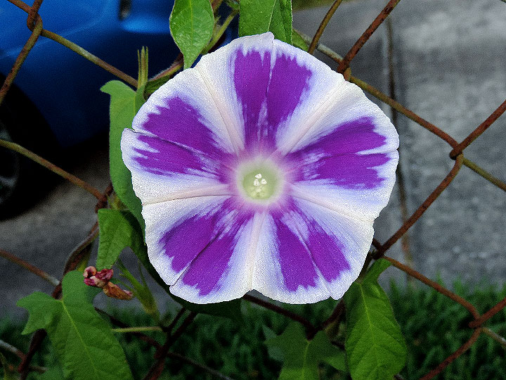 DSCN1907