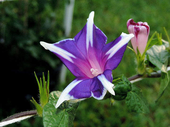 DSCN1927