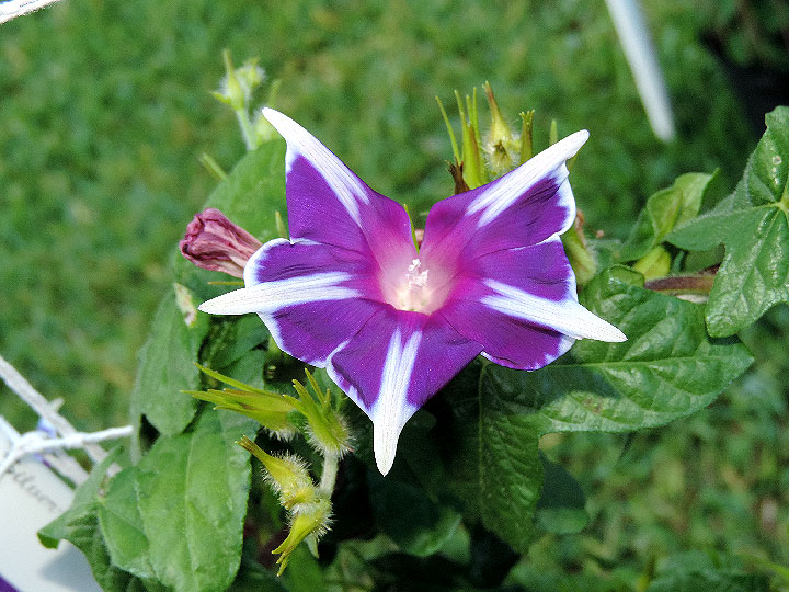 DSCN2036