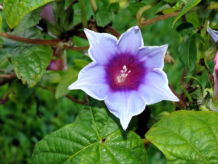 DSCN2069