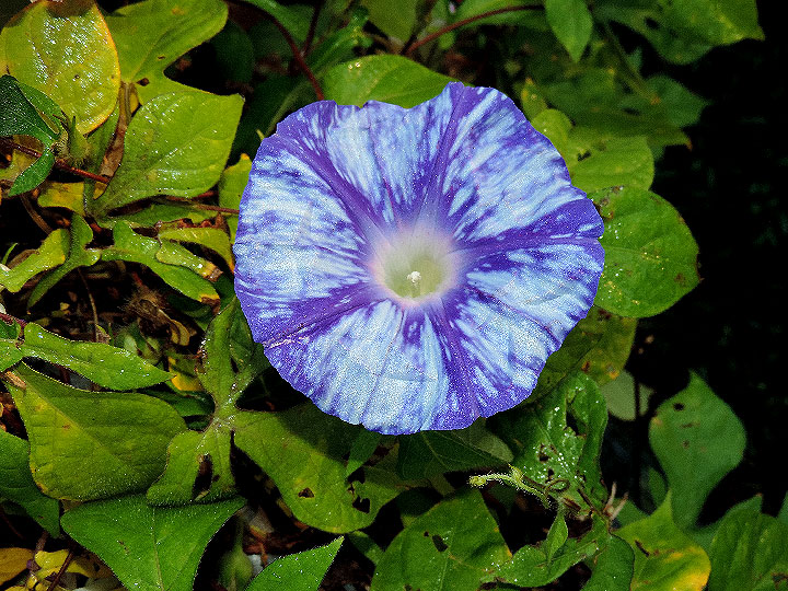 DSCN2249