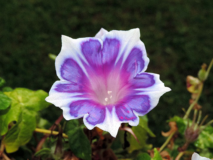 DSCN2343