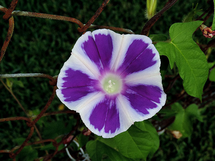 DSCN2378