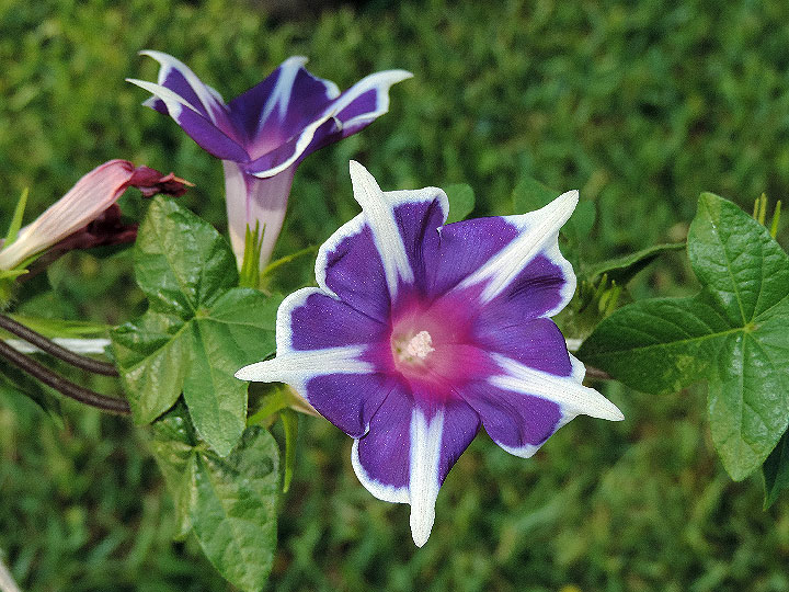 DSCN2404