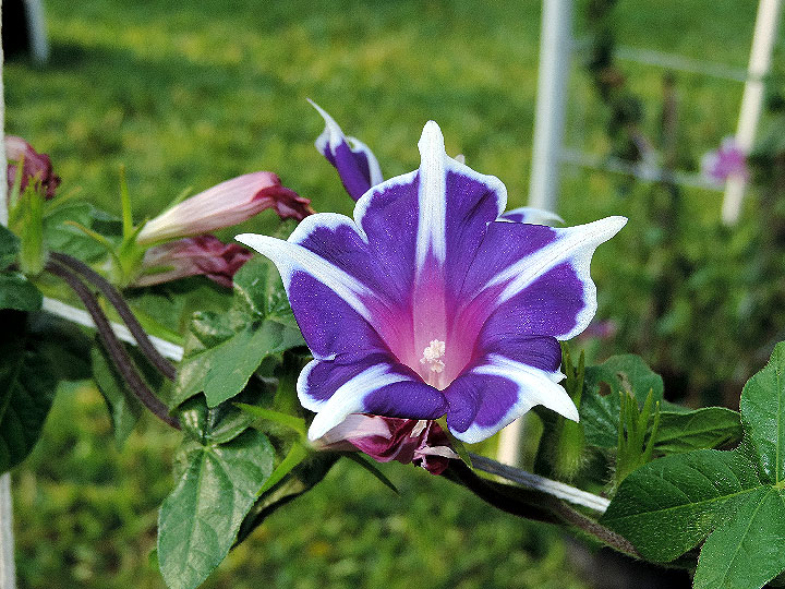 DSCN2406
