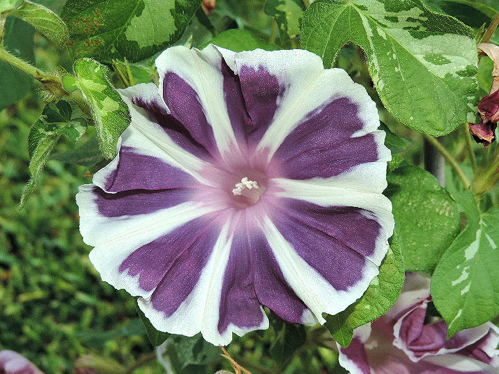 DSCN2419