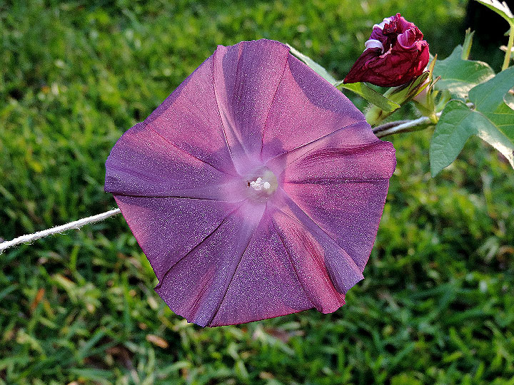 DSCN2645