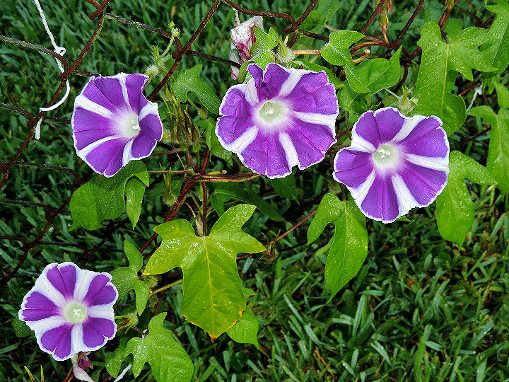 DSCN2693