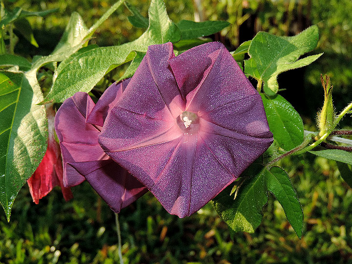 DSCN2822