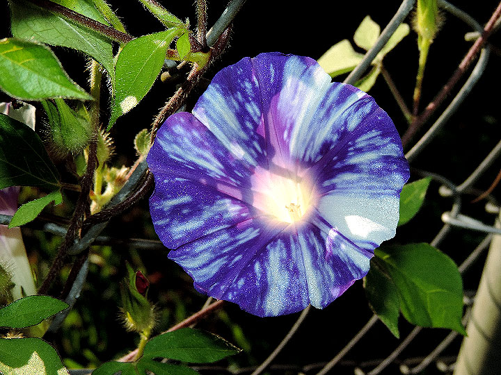 DSCN2926