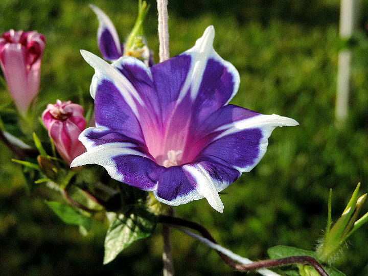 DSCN3094